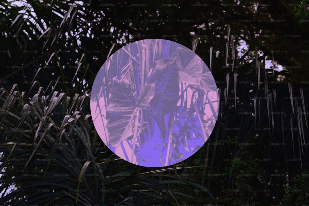 晋江：跟着水上救生员 感触“水火两重天”